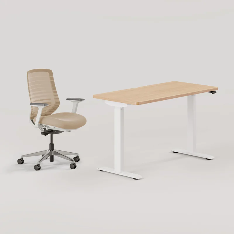 Ergonomic Chair + Standing Desk Bundle