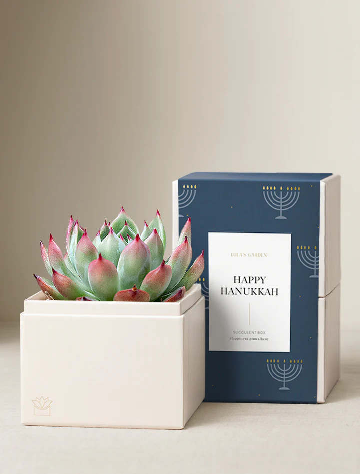 Holiday Bliss Garden