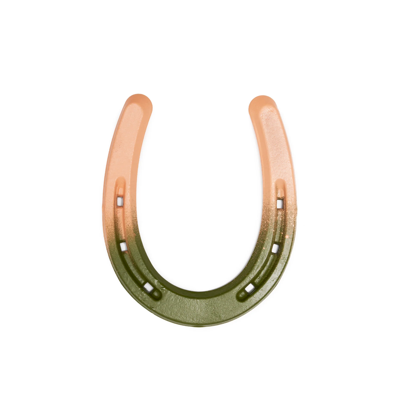 Colorful Painted Horseshoe