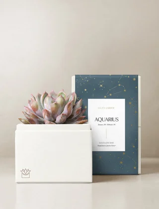 Aquarius Garden