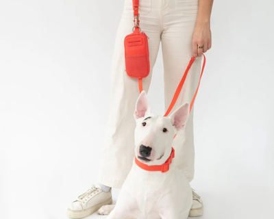 Walk Bag + Dog Leash