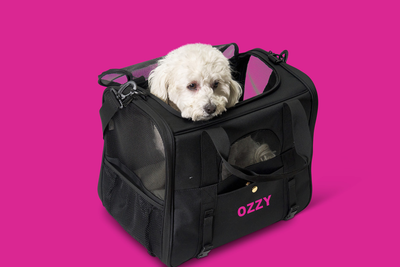 Personalized Milo Dog Carrier