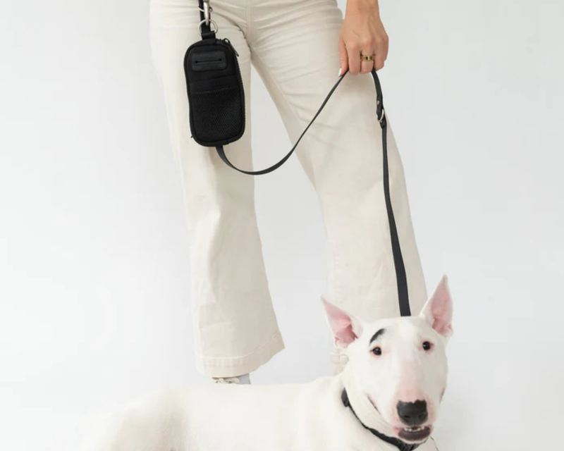 Walk Bag + Dog Leash