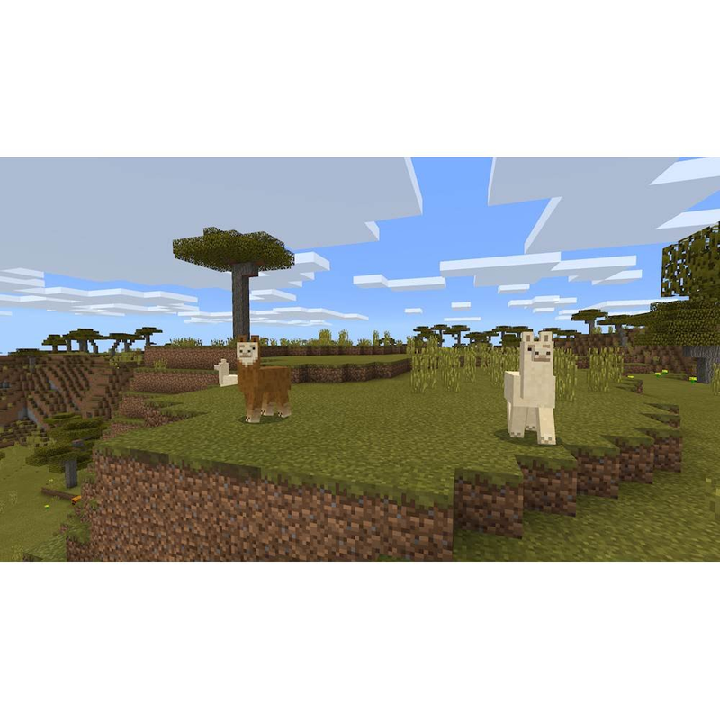 Minecraft, Nintendo Switch