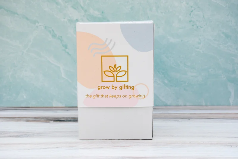 Grow By Gifting Jubilant Succulent Garden Trio