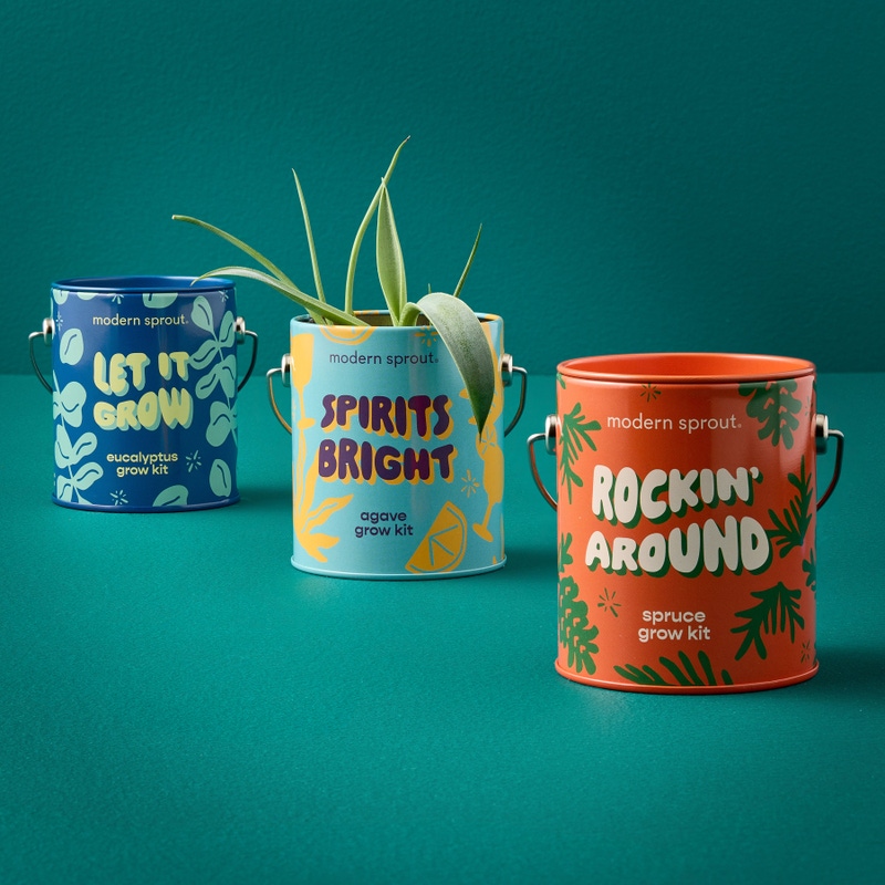 Holiday Complimentary Colors Grow Kit 3-Pack