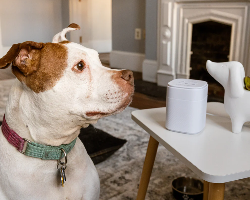 Pawzz Sound Machine for Dogs