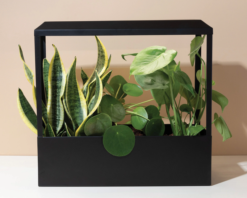 Smart Growhouse