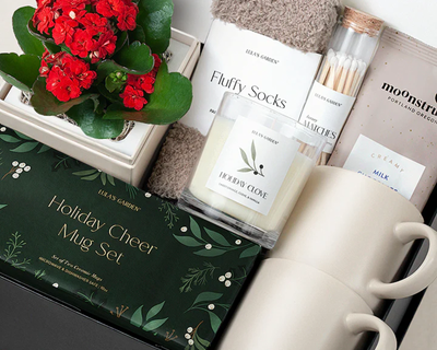 Get Cozy Succulent Gift Set 