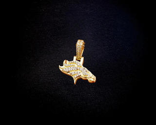 Denver Broncos