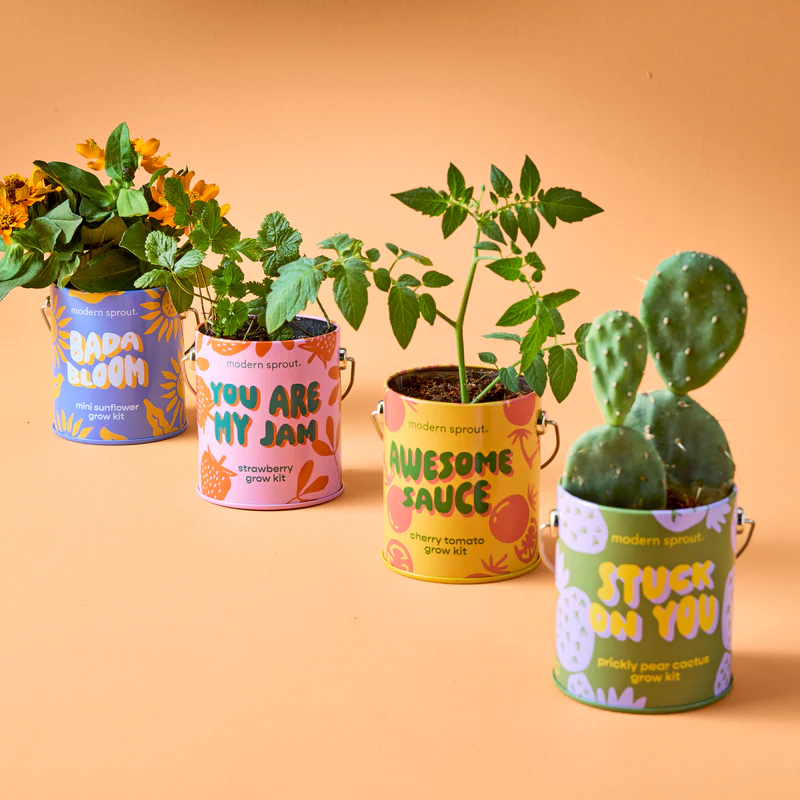 Complimentary Colors Grow Kit