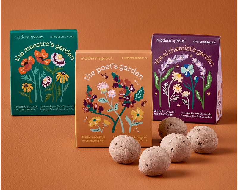 Bespoke Blooms Seed Ball 3-Pack