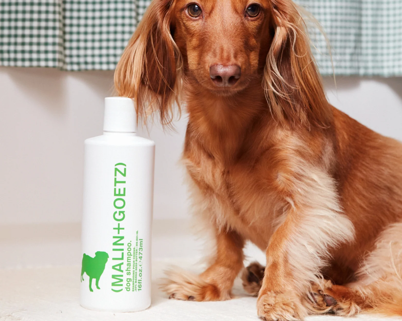 Dog Shampoo