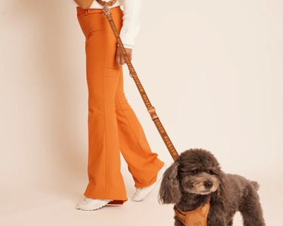 Go! With Ease Hands-Free Leash