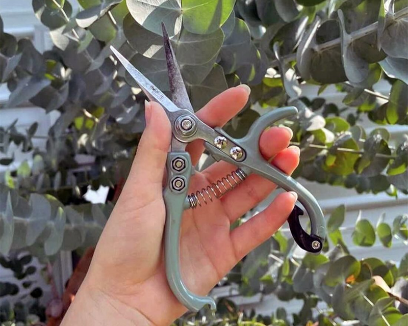 Garden Shears