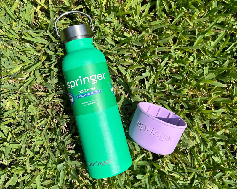 Dog & Me Insulated Water Bottle