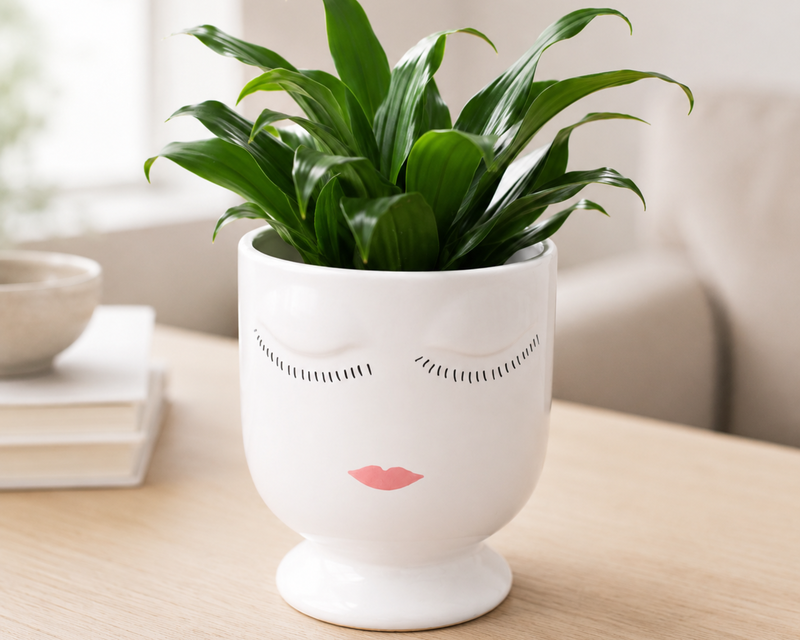 The Face Planter