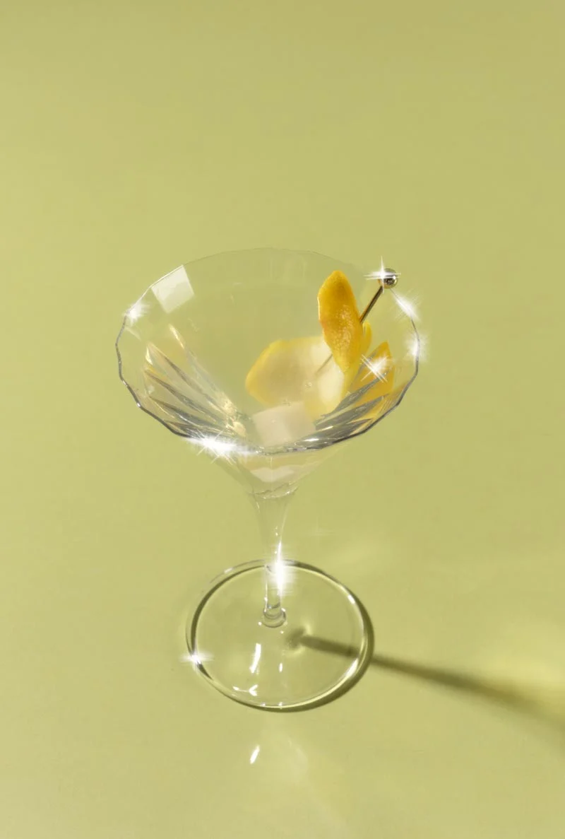 Drink Mixer Gift Kit