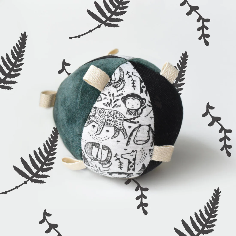 Taggy Ball with Rattle