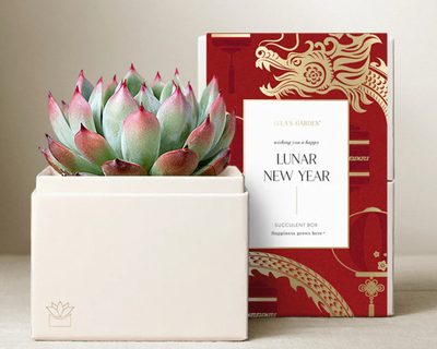 Lunar New Year Bliss Garden