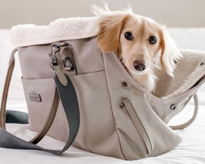 City Carrier Bag