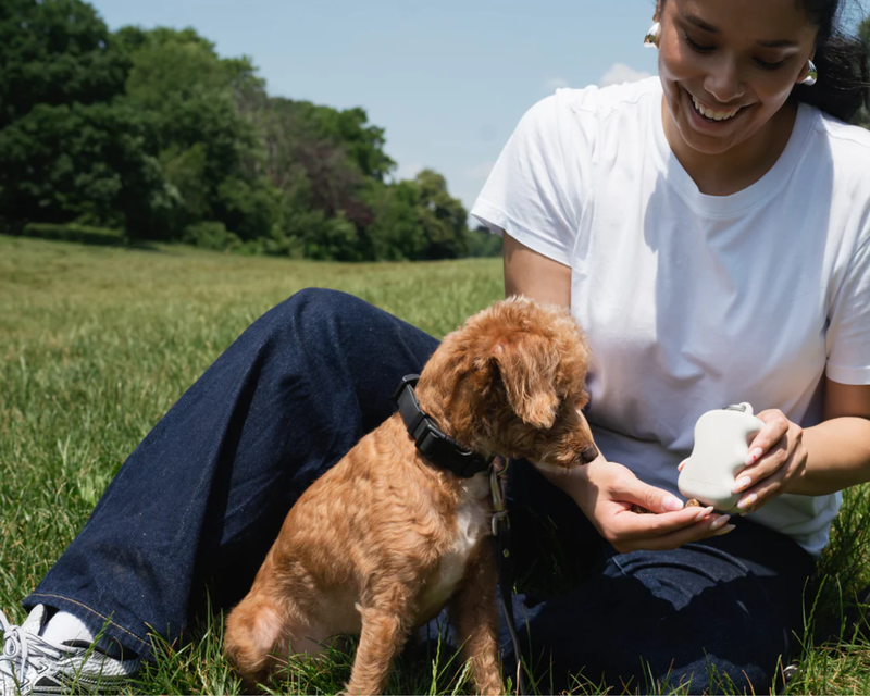 Silicone Dog Treat Dispenser