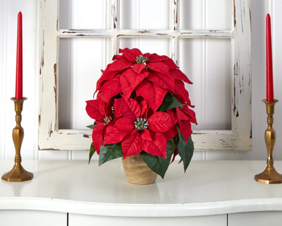Poinsettia with Ceramic Vase