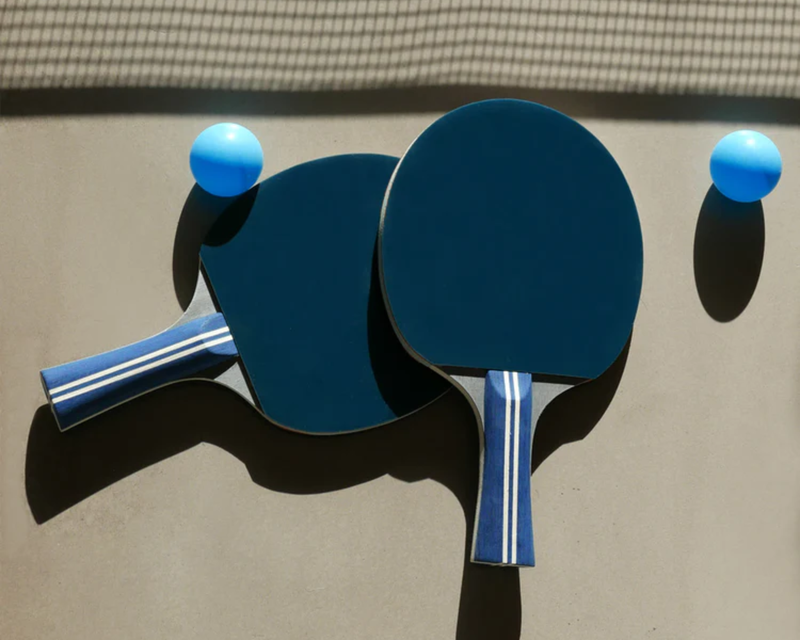Ping Pong Portable Table Tennis