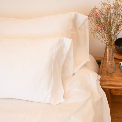 Down Alternative Pillow and Pillowcase Set of 2, Standard/Queen