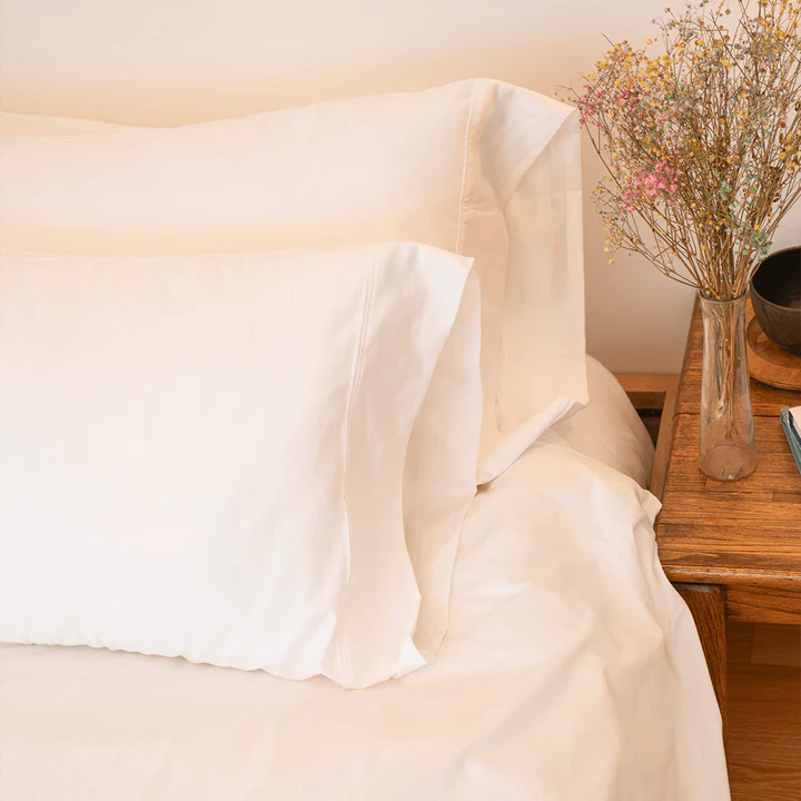 Down Alternative Pillow and Pillowcase Set of 2, Standard/Queen