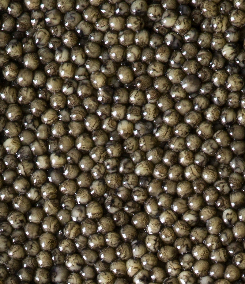 Platinum Osetra Caviar, 1oz