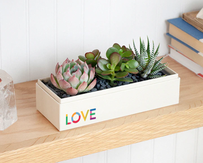 Pride Jewel Garden