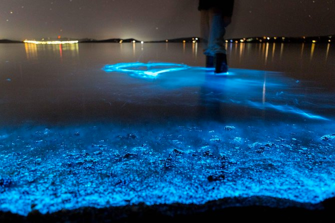 Bioluminescent Paddle Adventure for Two, TIitusville, FL