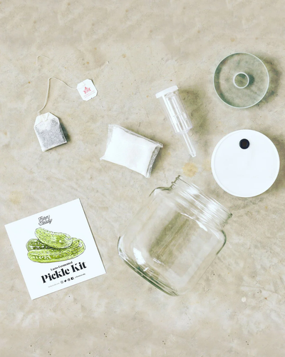 Lacto Pickle Kit