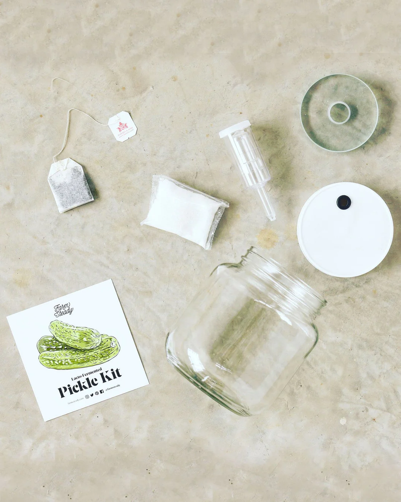 Lacto Pickle Kit