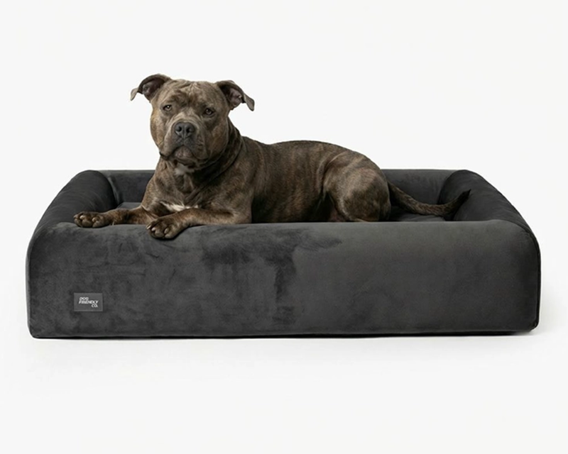 Medium Orthopedic Memory Foam Dog Bed