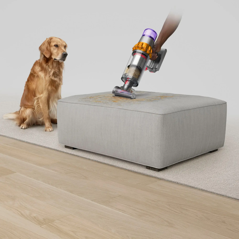 V15 Detect Cordless Vacuum