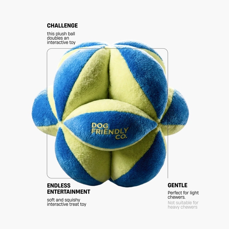 Geo Ball Dog Toy