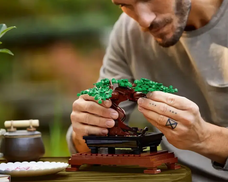 Icons Bonsai Tree Home Décor Set