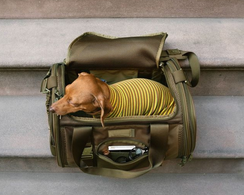 Kyoto Pet Carrier
