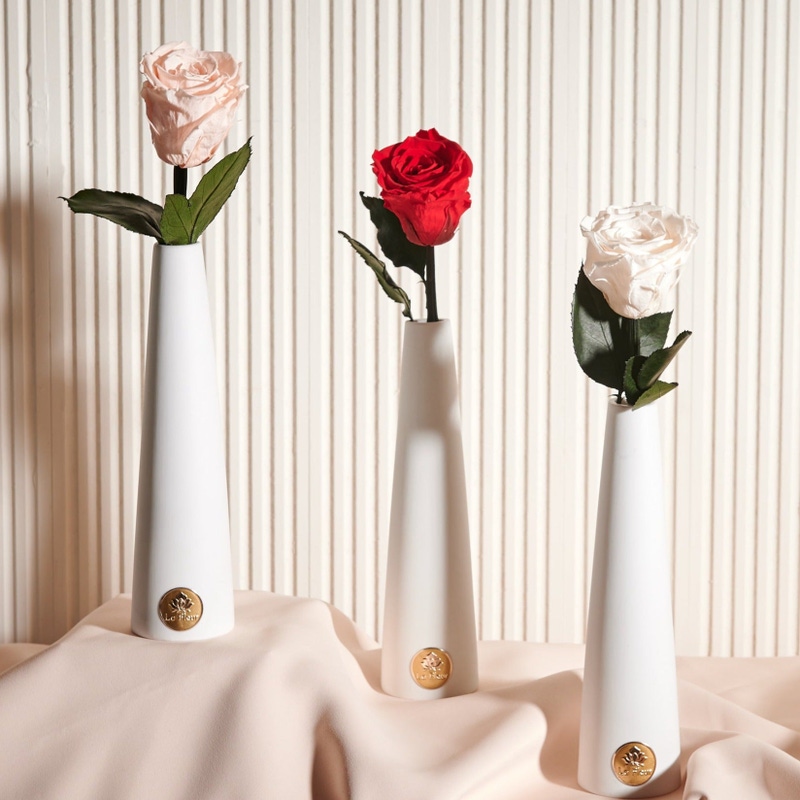 La Fleur single stem forever rose under glass - anniversary gift for her - $129