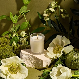 Verdant Garden