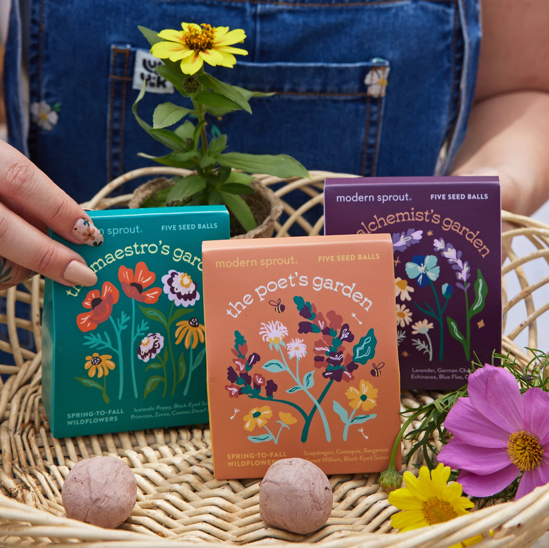 Bespoke Blooms Seed Ball 3-Pack