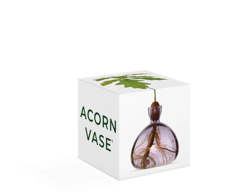 Acorn Vase with Acorn