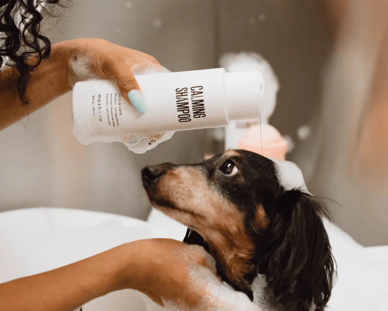 Calming Dog & Cat Shampoo