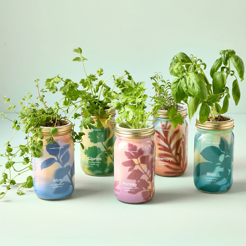 Herb Garden Jar 5-Pack