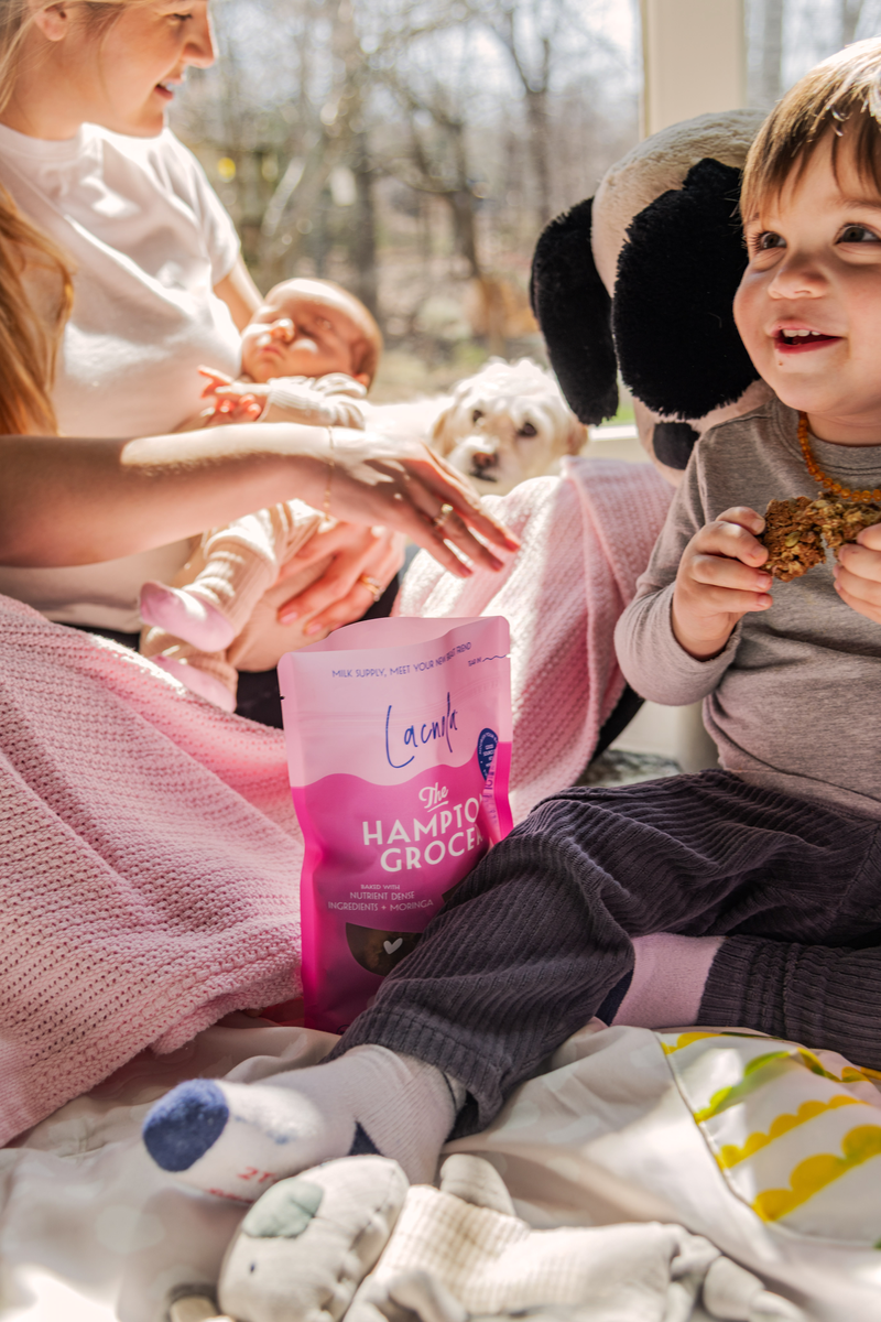 Lacnola Lactation Support Granola, 8 Bags