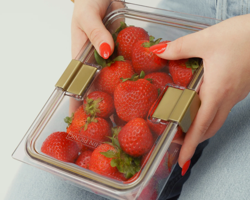 The Food Container