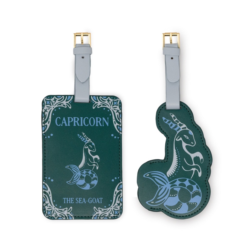 Leatherette Luggage Tag Set of 2