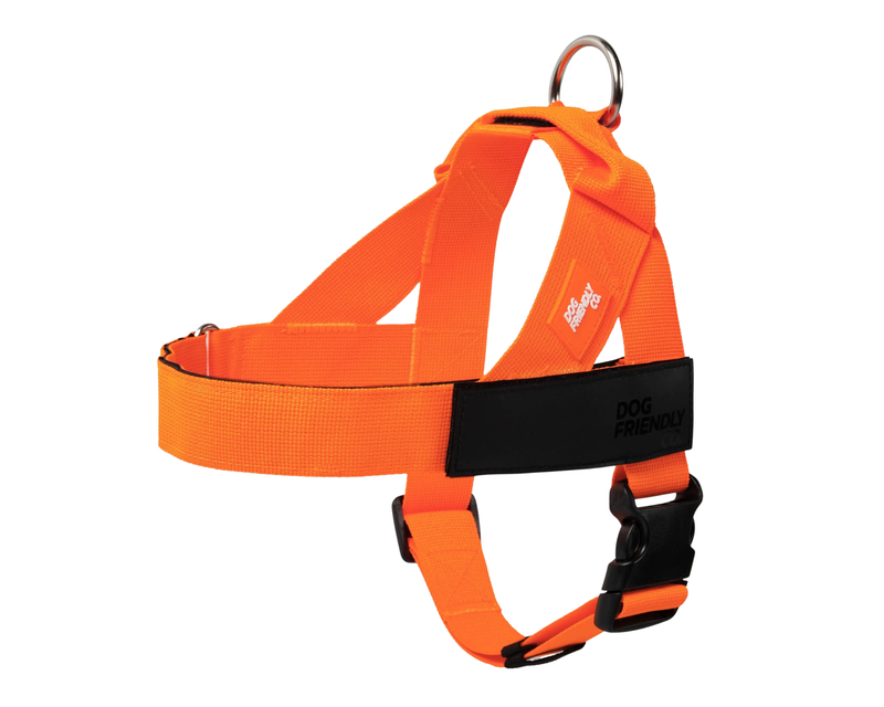 Dog Harness